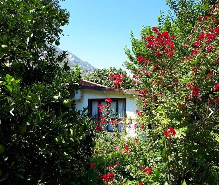 Dolunay Apart Hotel Çıralı Extérieur photo